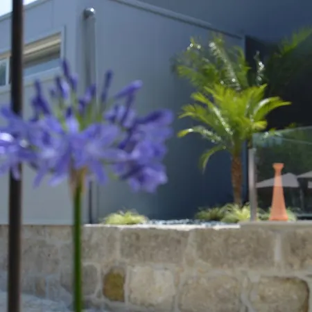 Farma Quinta Das Tulipas