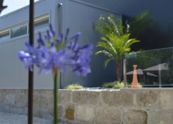 Alloggio per agriturismo Quinta Das Tulipas