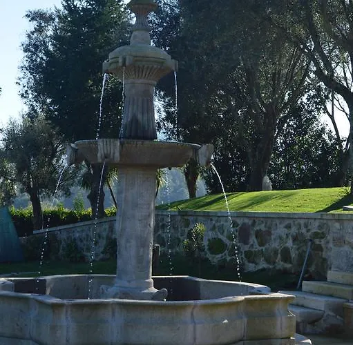 Alloggio per agriturismo Quinta Das Tulipas Barcelos