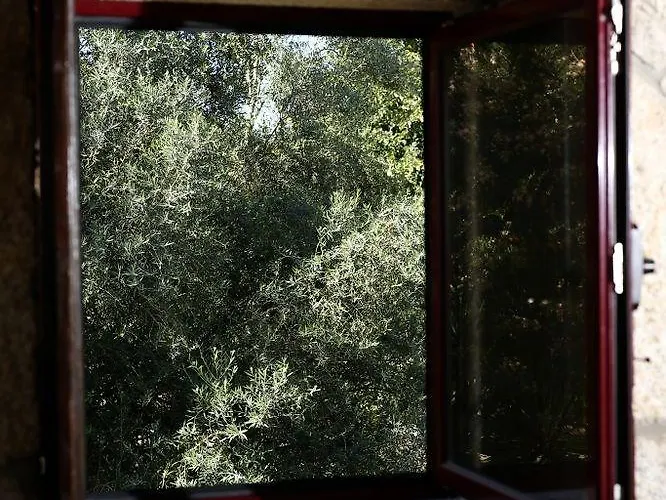 Quinta Das Tulipas Alloggio per agriturismo